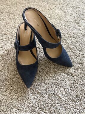 Ann Taylor Navy Suede Pointed-Toe Mary Jane Heels with Buckle Strap